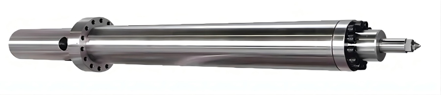PP IMM(1).jpg